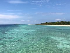 -真浪花园海鲜餐馆