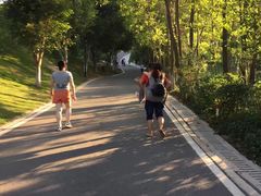 -八仙山公园