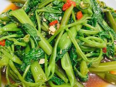 凉拌藤藤菜-黑白荤豆花(双凤路店)