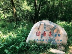 -青龙山国家森林公园