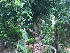 -南通洲际绿博园