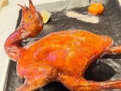 -侨美食家·40年地道粤菜(珠江新城店)