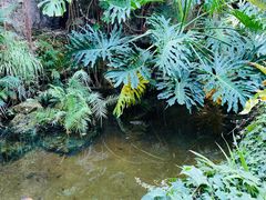 -亿利库布其七星湖沙漠生态旅游区