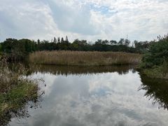 -同里国家湿地公园