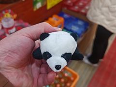 -岳记兴隆·青城腊排铜火锅(融创店)