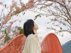 -白石龙音乐公园