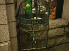 -老味道民宿(栈桥店)