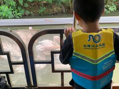 -广州长隆飞鸟乐园