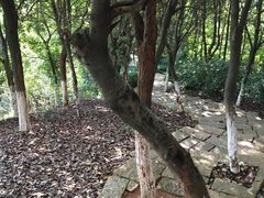 -五龙客家风情园