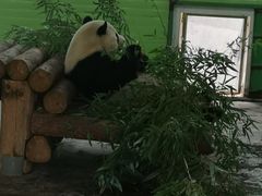 -石家庄市动物园