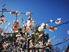 -红螺寺