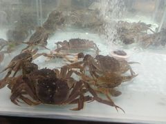 -兴龙广缘超市(奥体中心店)