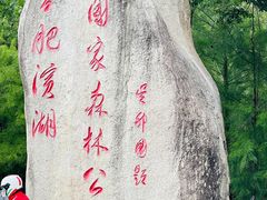 -合肥滨湖国家森林公园