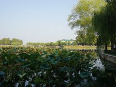 -月湖风景区