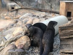 -昆明动物园