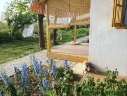 -DORA kids 朵拉儿童摄影花园店