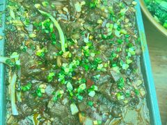 -树厨贵州菜(花果园购物中心店)
