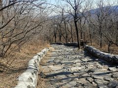 -阳台山自然风景区