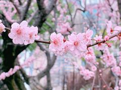 -静安雕塑公园