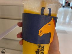 -春丽小马(济南恒隆广场店)