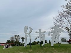 -荷兰花海