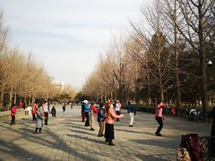 -玲珑塔公园