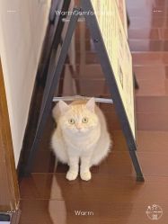 -齐伽生活馆·瑜伽·普拉提·阿育吠陀