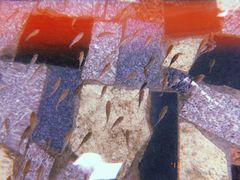 -宁海森林温泉