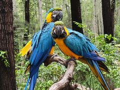 -北京野生动物园