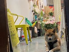 -花满楼(启秀路店)