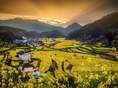 -婺源风景区