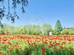 -祥源·阜阳生态乐园