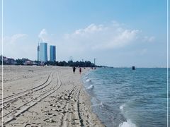 -巨鹏飞梦幻海岸