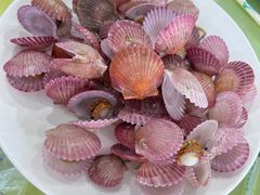 -沿海渔家院海鲜烧烤·东北菜(东戴河店)