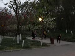 -重庆彩云湖湿地公园