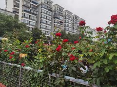 -张记焖窑·十五年专注焖烤(雍和宫店)