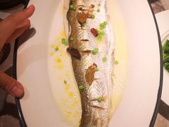 江南草本香水白鱼-同仁堂粹和餐厅·食养养生宴(新大都店)