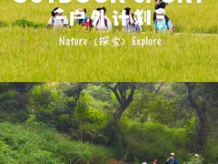-风云岭森林公园