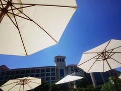 -上海东方佘山翰悦阁酒店·Vie全日制餐厅