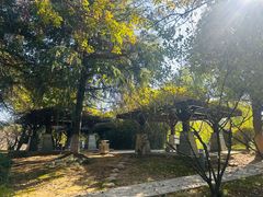 -白塘生态植物园