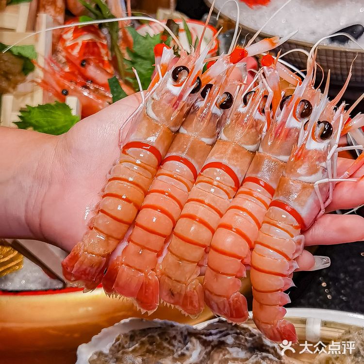 新西兰鳌虾不限量,瞬间感觉挖到宝了!