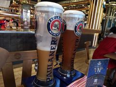-Paulaner·德国帕拉娜自酿啤酒餐厅(海上世界店)