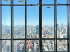 -视界美食自助餐厅·石家庄希尔顿酒店