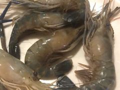 -南美豹国际自助百汇(万象城店)