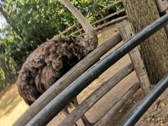 -大连森林动物园