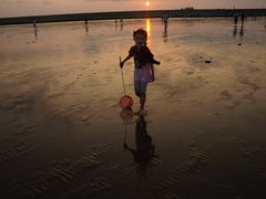 -南汇嘴观海公园