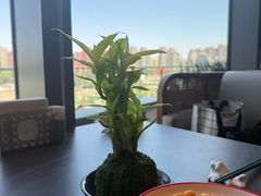 -湖里春风·淮扬菜(丽泽天街店)