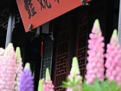 -苏州上方山国家森林公园