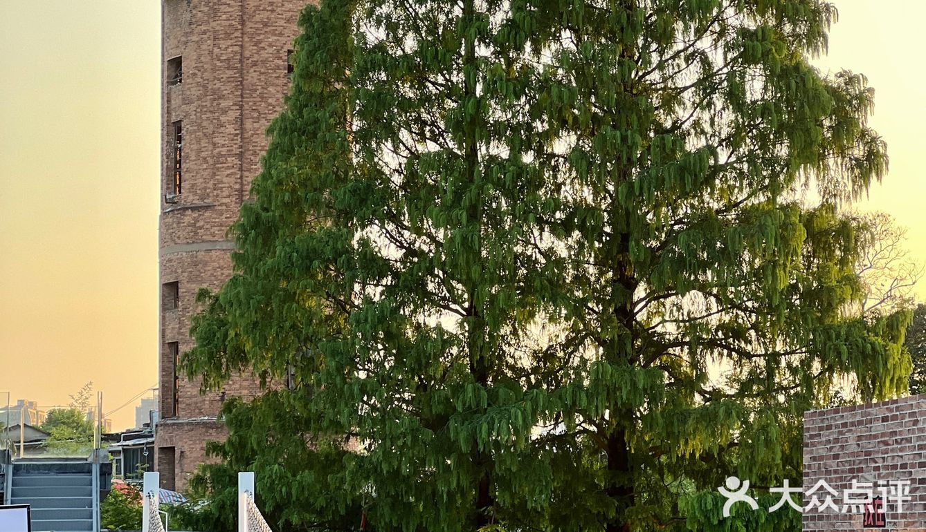 萧山|小酌看落日!宝藏屋顶小酒馆