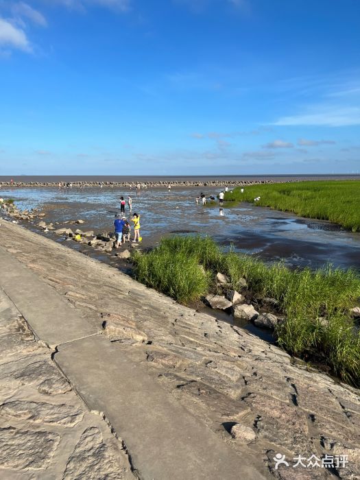 南汇嘴观海公园图片